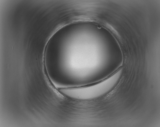X0000075911378200609151417