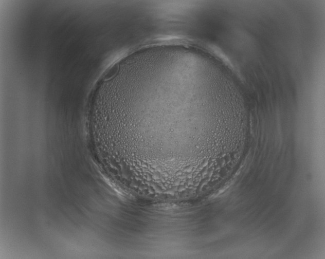X0000075911405200609151417