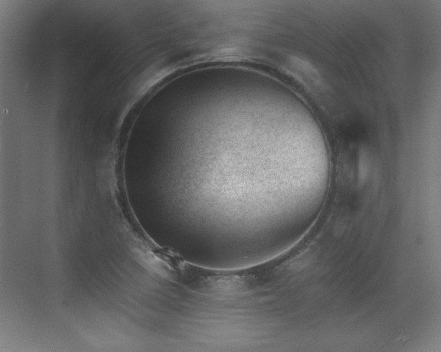 X0000075911410200609151417