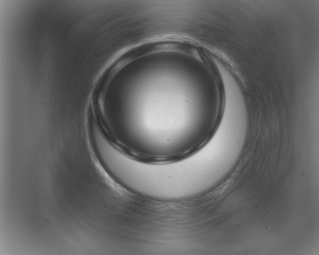 X0000075911422200609151417