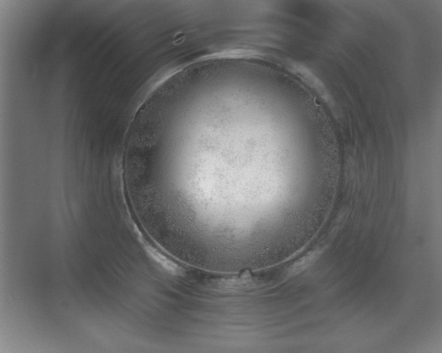 X0000075911425200609151417