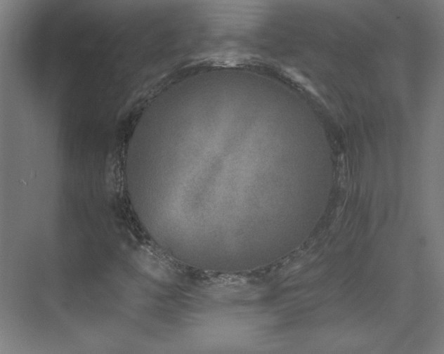 X0000075911446200609151416