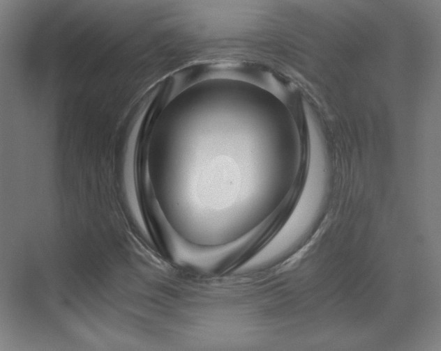 X0000075911449200609151416
