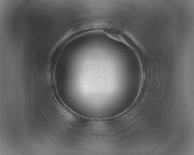X0000075911450200609151416