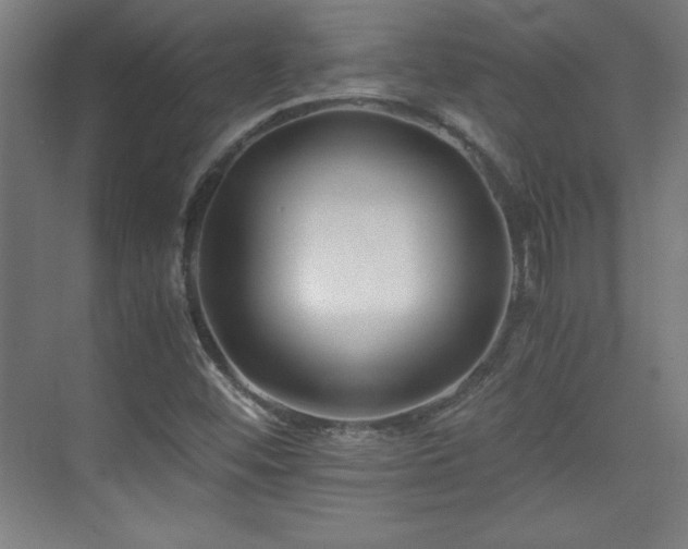 X0000075911452200609151416