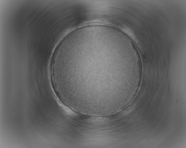 X0000075911474200609151416