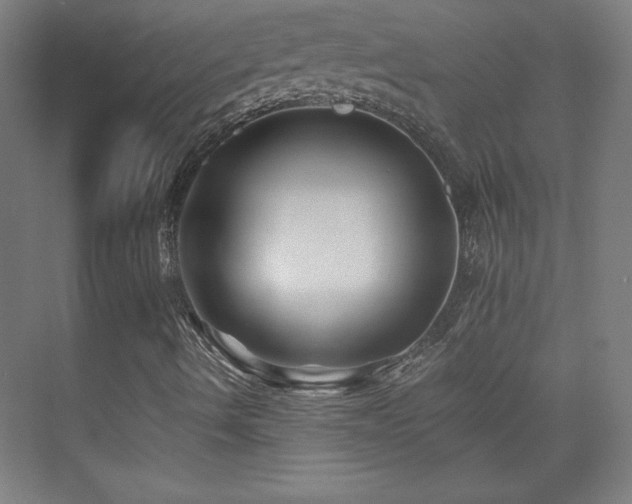 X0000075911490200609151415