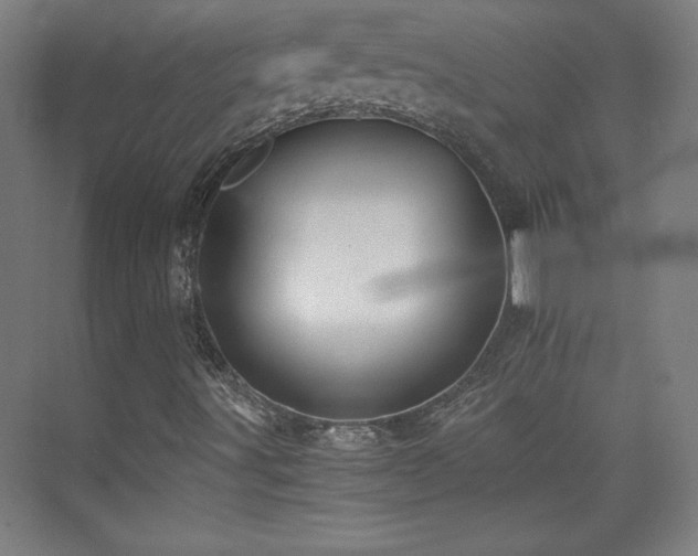X0000075911491200609151415