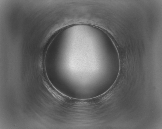 X0000075911499200609151415