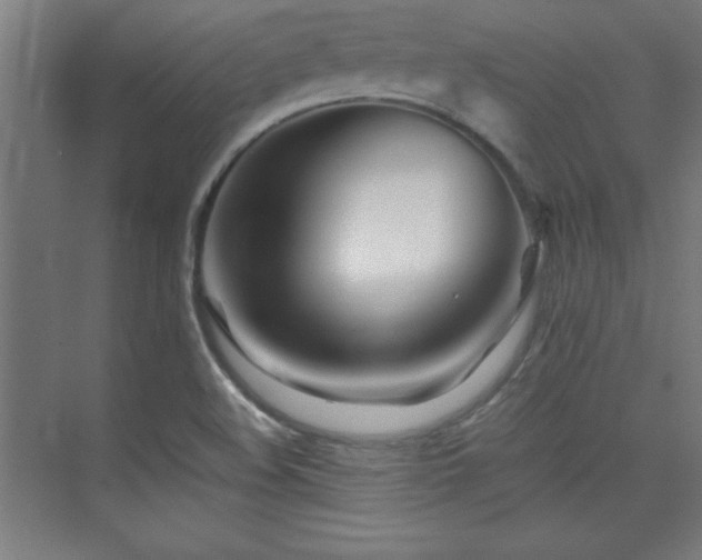 X0000075911508200609151415