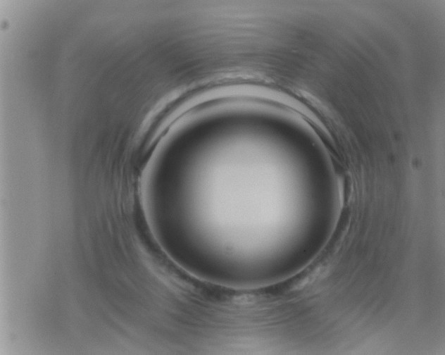 X0000075910064200609222012