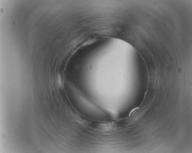X0000075910089200609222012