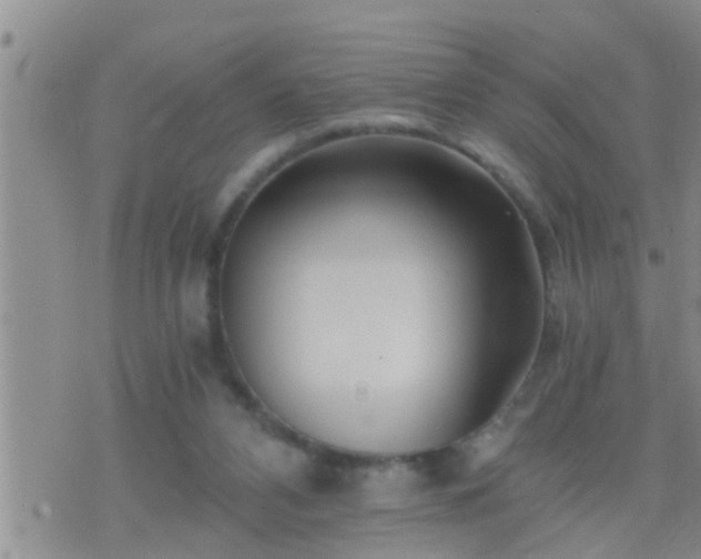 X0000075910112200609222011