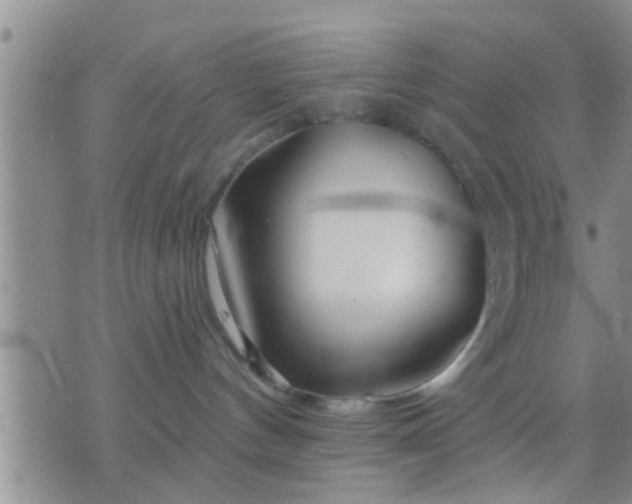X0000075910144200609222011