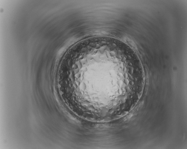 X0000075910145200609222010