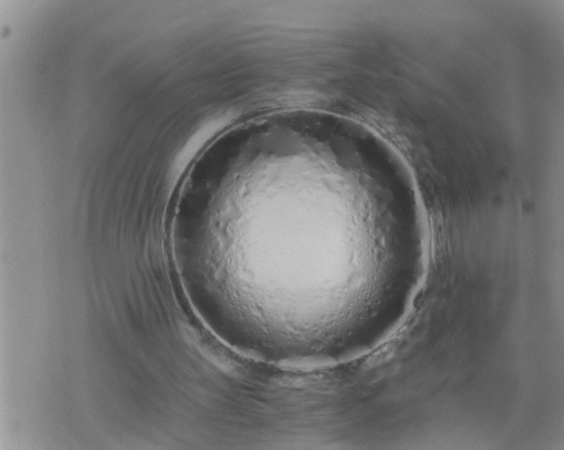 X0000075910147200609222010