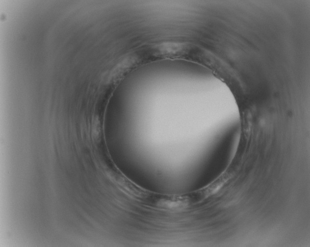 X0000075910563200609222004