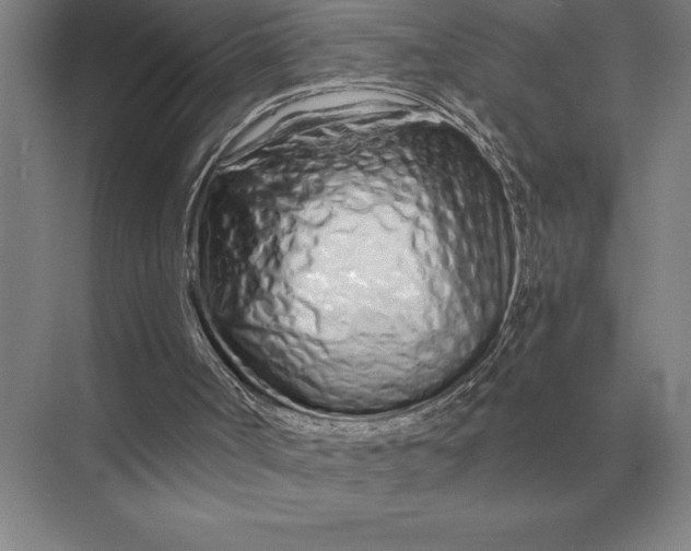 X0000075910002200609291810
