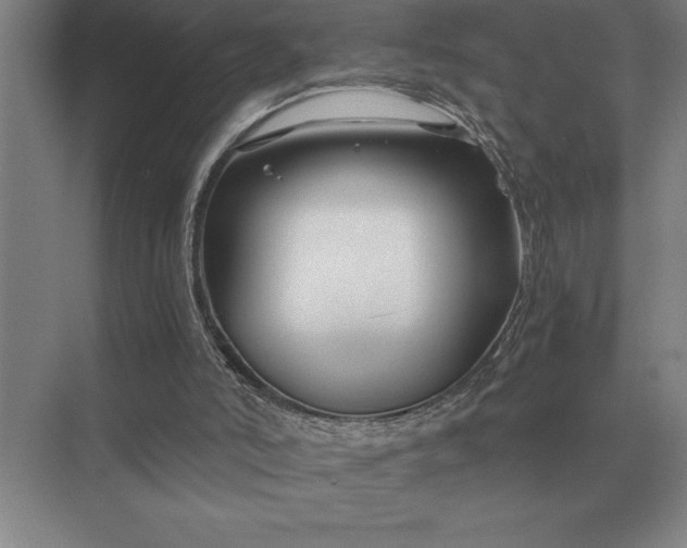 X0000075910006200609291810
