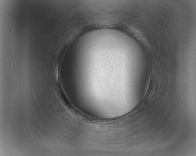 X0000075910021200609291809