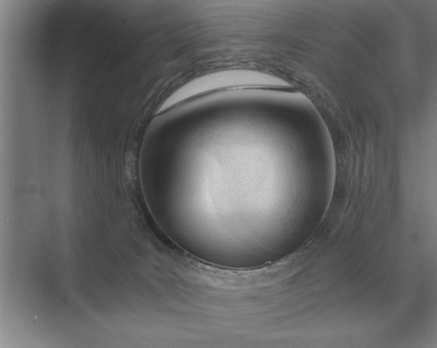 X0000075910035200609291809