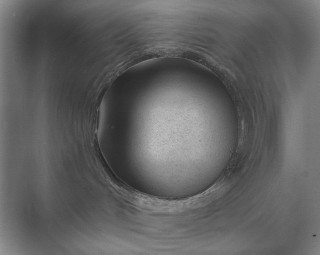 X0000075910048200609291809