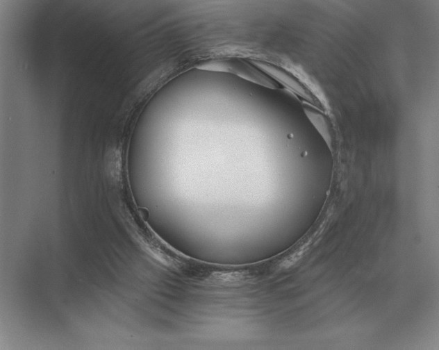 X0000075910057200609291808