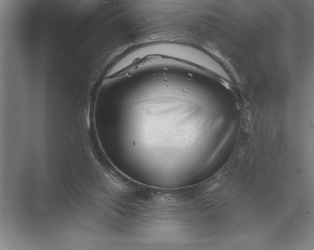 X0000075910062200609291808