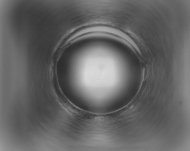 X0000075910064200609291808