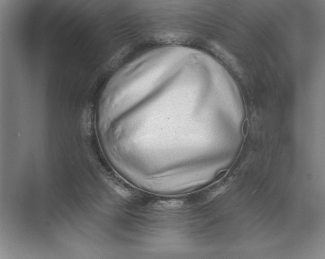 X0000075910065200609291808