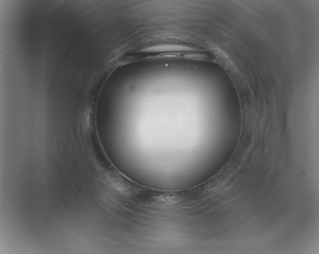 X0000075910071200609291808