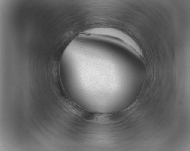 X0000075910078200609291809