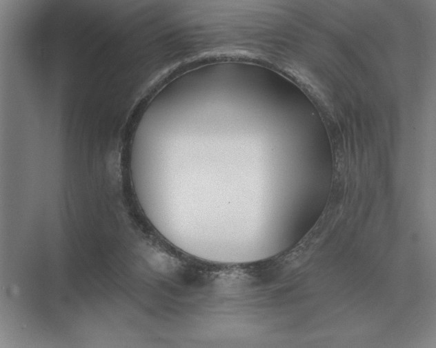 X0000075910112200609291808