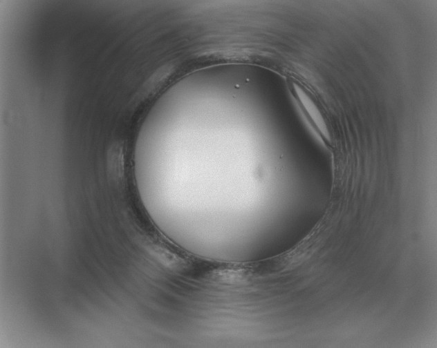 X0000075910120200609291808