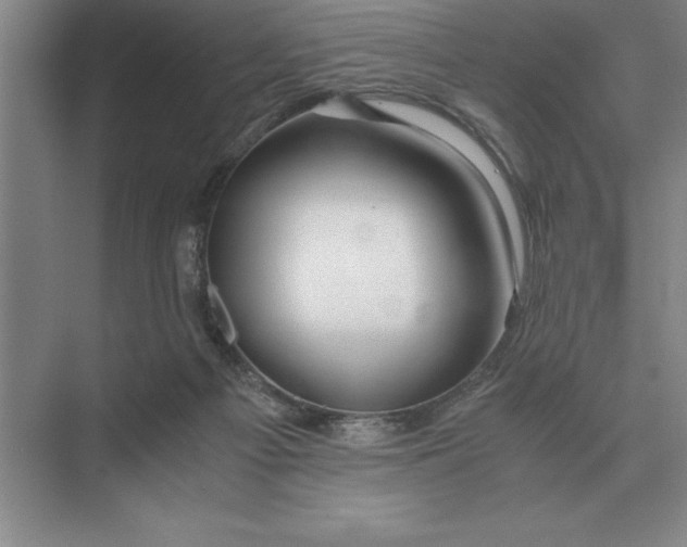 X0000075910121200609291808