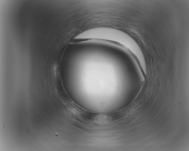 X0000075910123200609291808