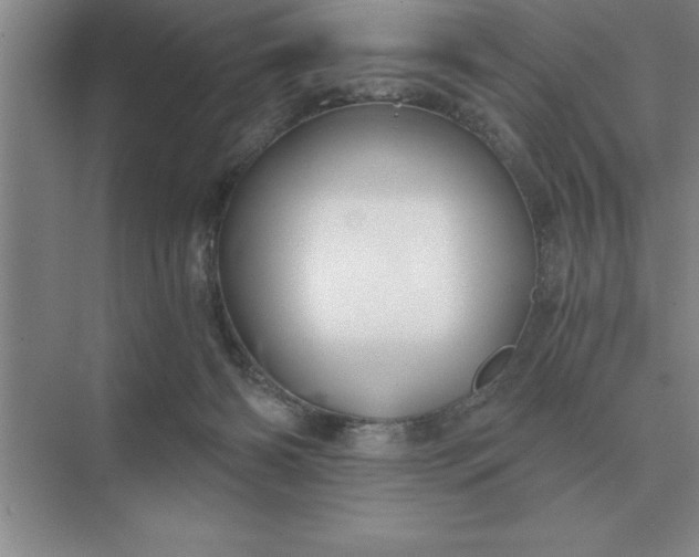 X0000075910126200609291808