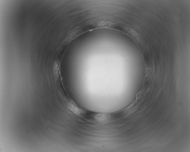 X0000075910142200609291807