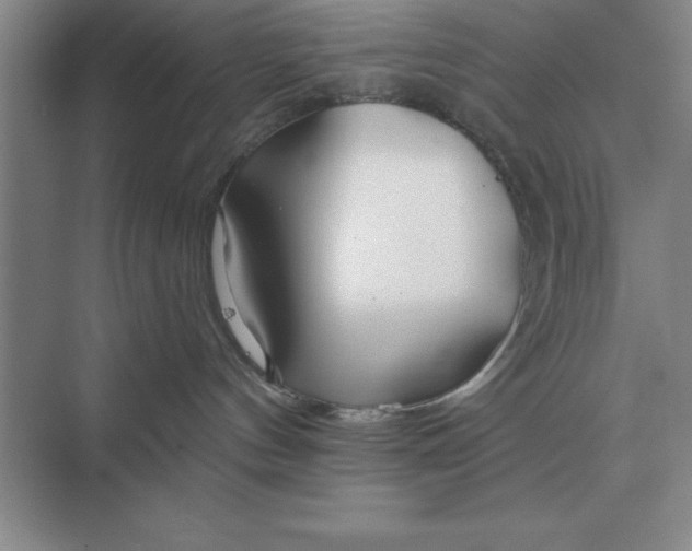 X0000075910144200609291807