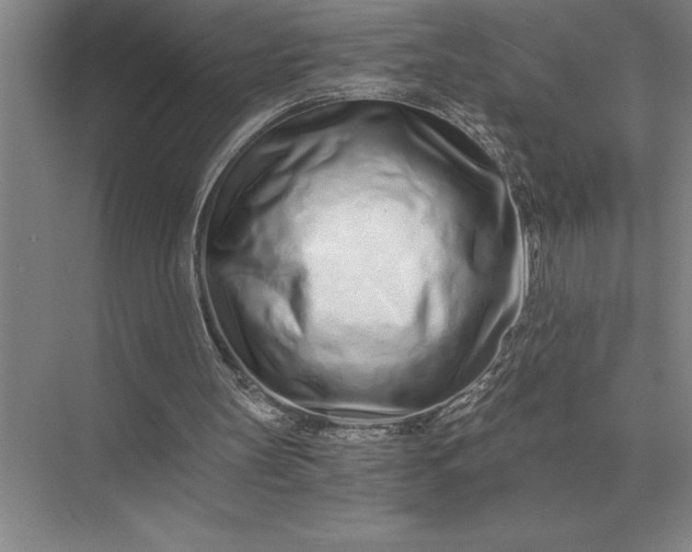 X0000075910147200609291807