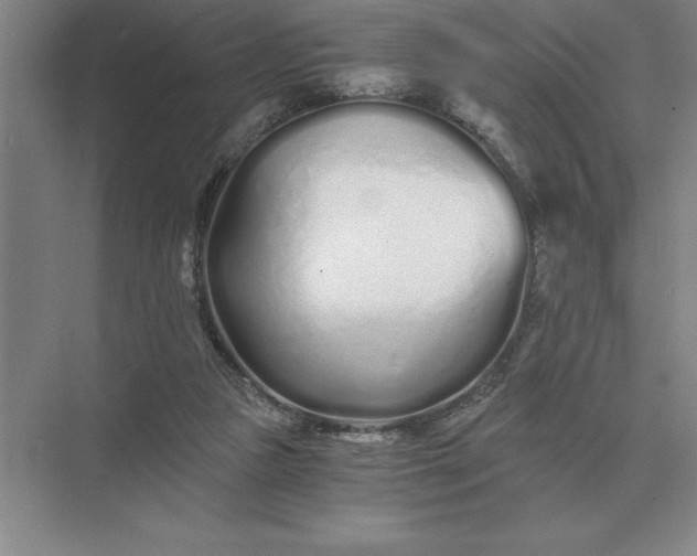 X0000075910161200609291807