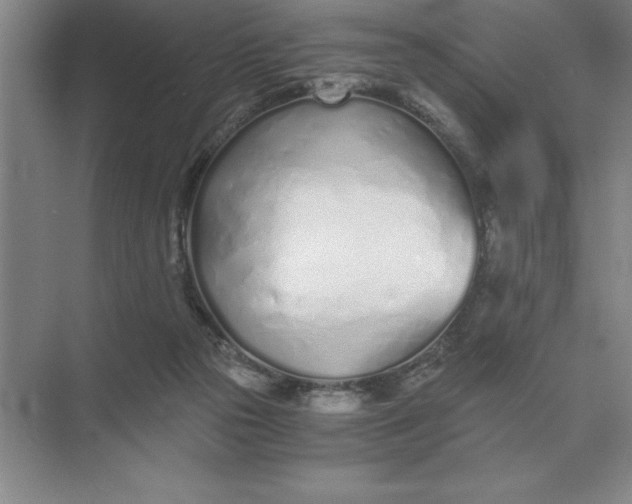 X0000075910169200609291807