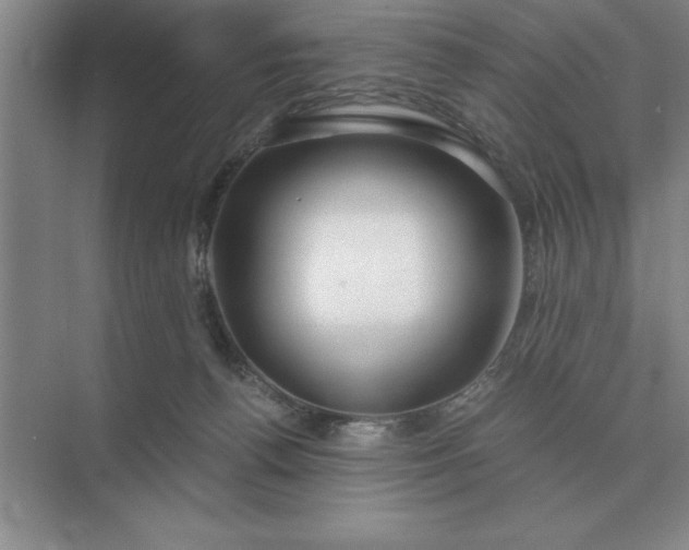X0000075910176200609291807