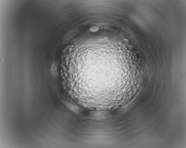 X0000075910191200609291807