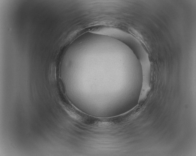 X0000075910205200609291806