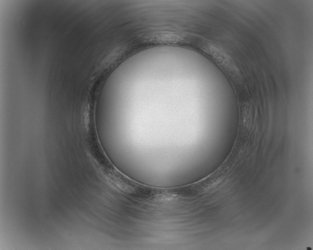 X0000075910206200609291806