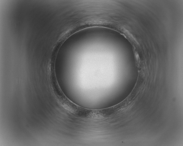 X0000075910207200609291806