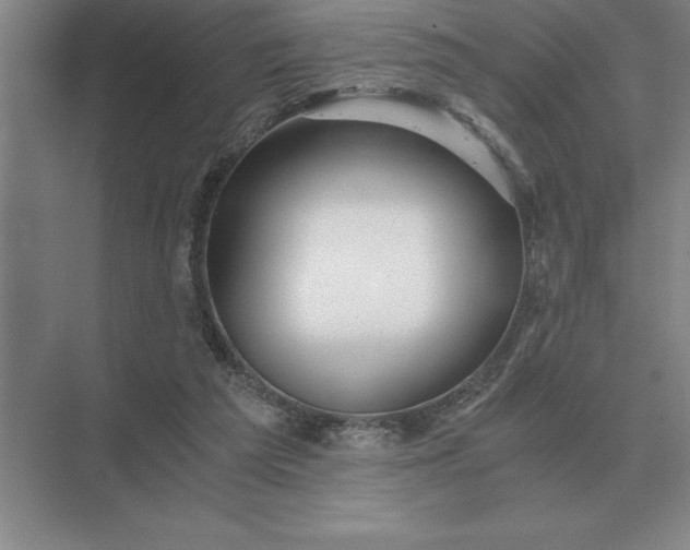X0000075910209200609291806