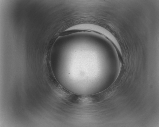 X0000075910221200609291806