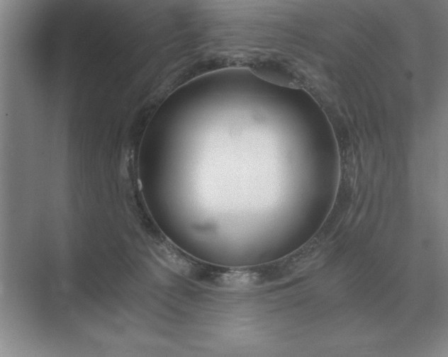 X0000075910225200609291806